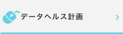 データヘルス計画