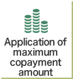 Application of maximum copayment amount