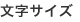 文字サイズ