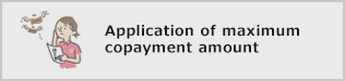 Application of maximum copayment amount